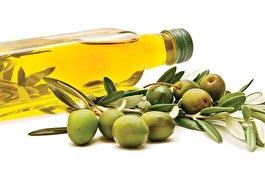 روغن زیتون و کاهش کلسترول خون