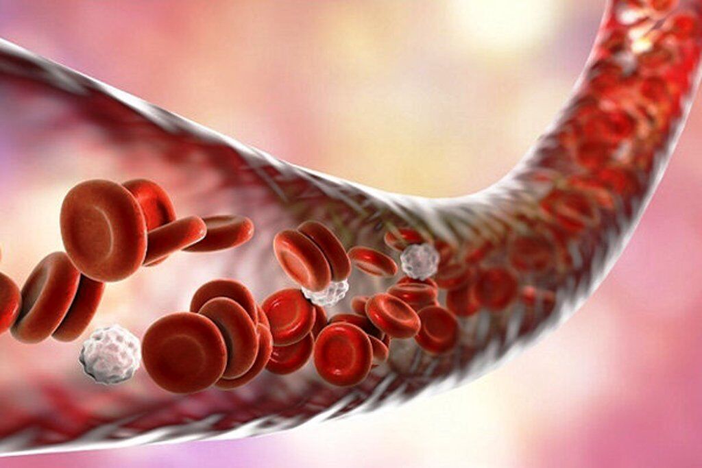 سلول‌های بنیادی خون