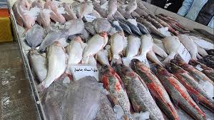 قیمت ماهی