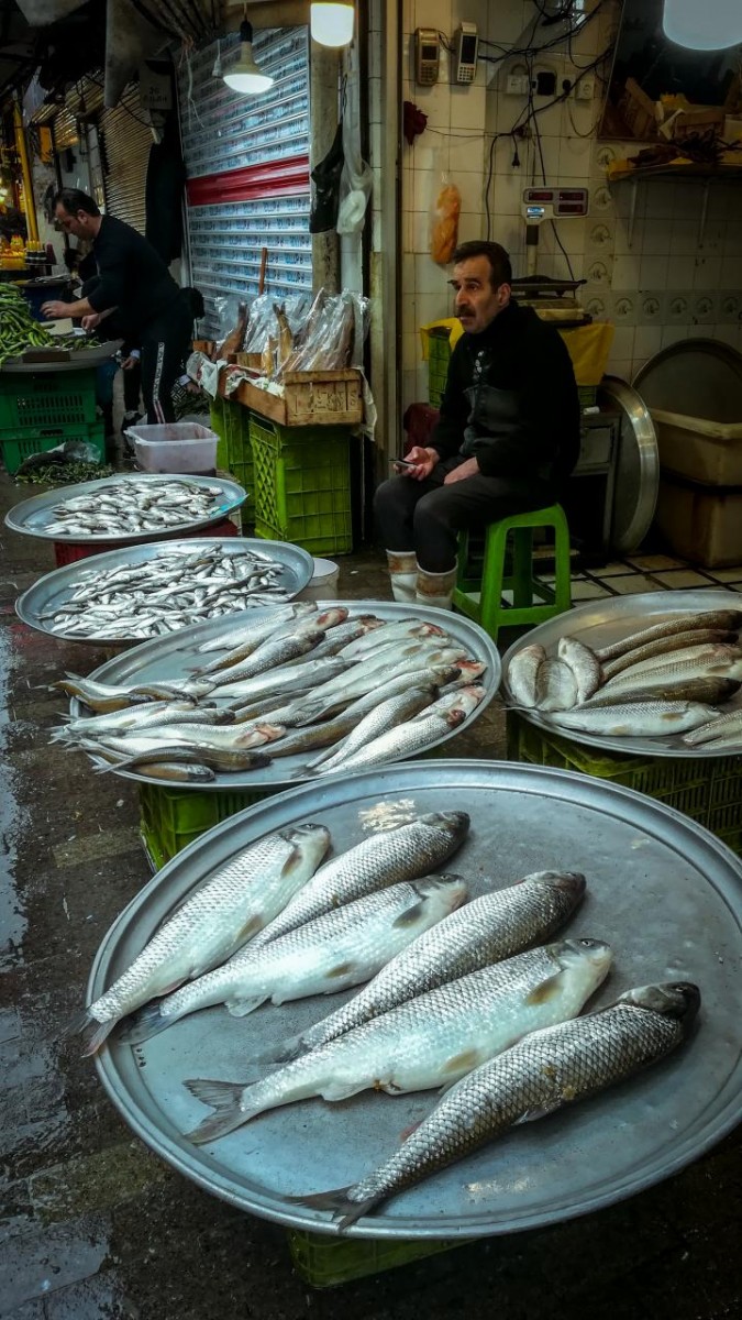 ماهی فروشی 