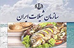 نیازمند گرایش سفره‌های ایرانی به سمت دریا هستیم