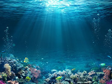 شکوفایی حیات اقیانوسی پس از انقراض دسته جمعی تاریخی