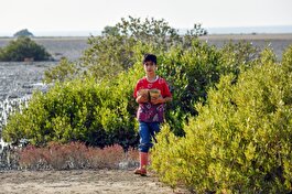 کاشت بذر حرا در اسکله گردشگری روستای سهیلی قشم آغاز شد