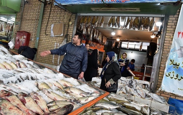 اصفهان قطب توزیع ماهی در مرکز کشور می‌شود