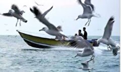پیشنهاد  تشکیل ستاد گردشگری دریایی روی میز
