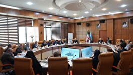 رفع موضوع ناترازي انرژي در حوزه شيلات با ورود متخصصان