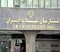 آغاز رسمی تحقیق و تفحص بهارستان از شیلات